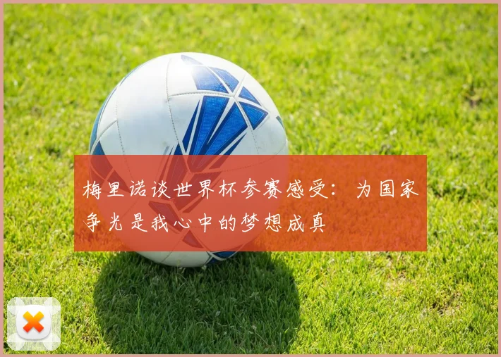 梅里诺谈世界杯参赛感受：为国家争光是我心中的梦想成真