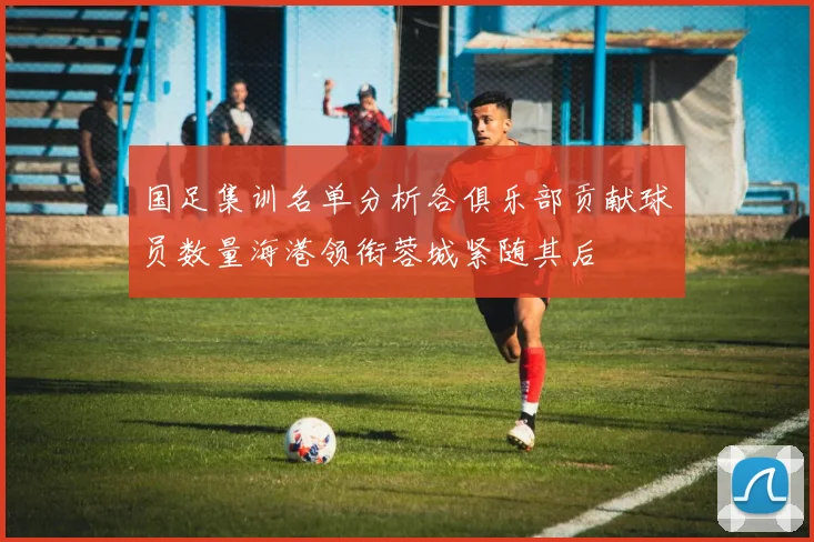 国足集训名单分析各俱乐部贡献球员数量海港领衔蓉城紧随其后
