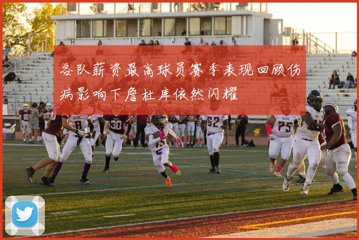 各队薪资最高球员赛季表现回顾伤病影响下詹杜库依然闪耀